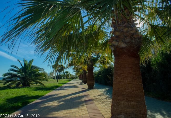 Apartment in Isla Canela - DUF02 Sea Facing Beach Front Apartment Apartment in Isla Canela - DUF02 Sea Facing Beach Front Apartment